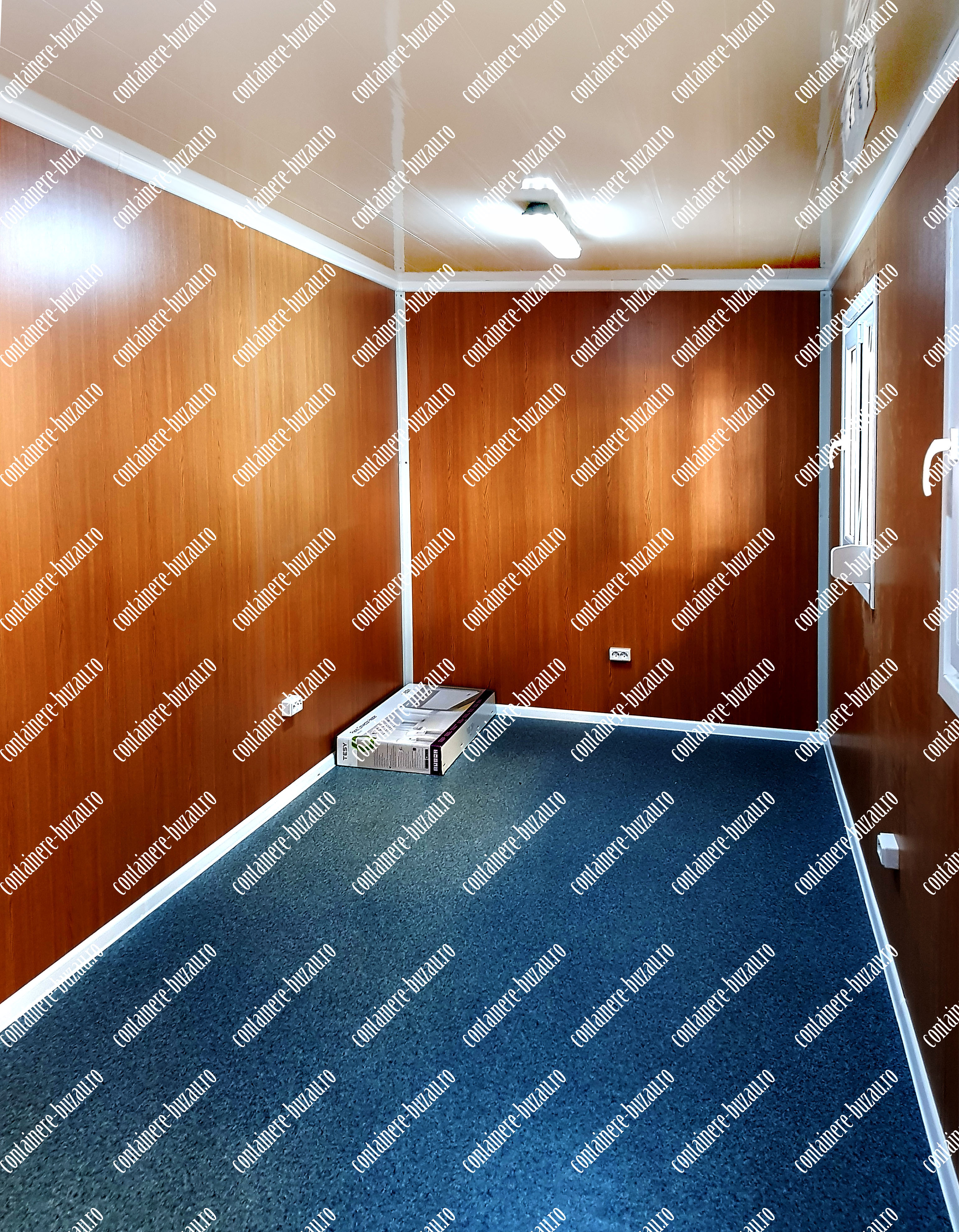 cat costa un container Buzau